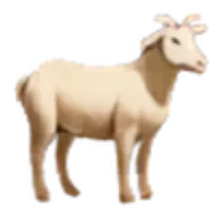 Lamb Icon